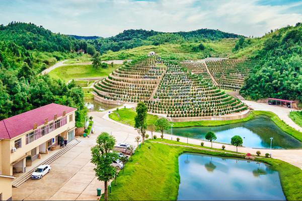 陵園介紹